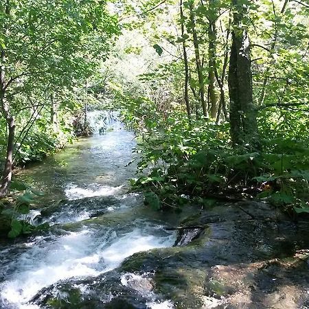 Guesthouse Marton Jezerce Dış mekan fotoğraf