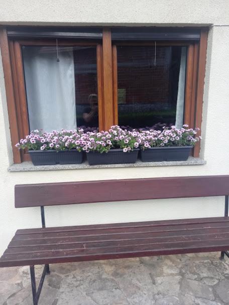 Guesthouse Marton Jezerce Dış mekan fotoğraf