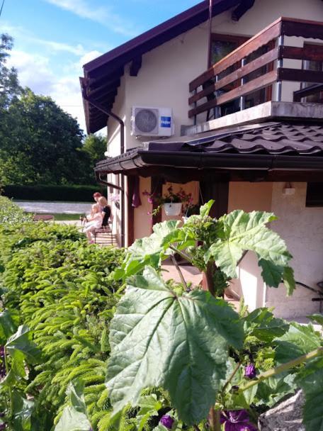 Guesthouse Marton Jezerce Dış mekan fotoğraf