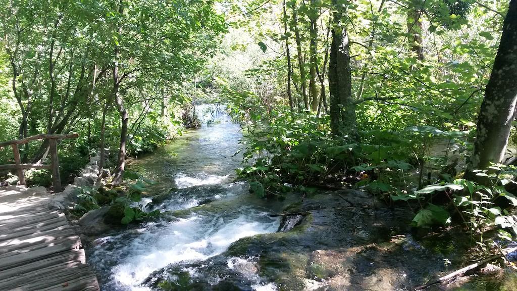 Guesthouse Marton Jezerce Dış mekan fotoğraf